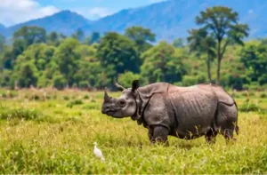 Nepal Tour Package from Guwahati