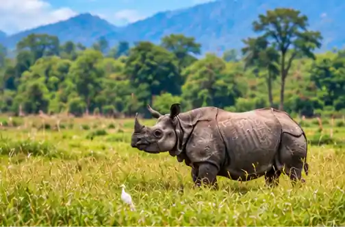 Nepal Tour Package from Guwahati