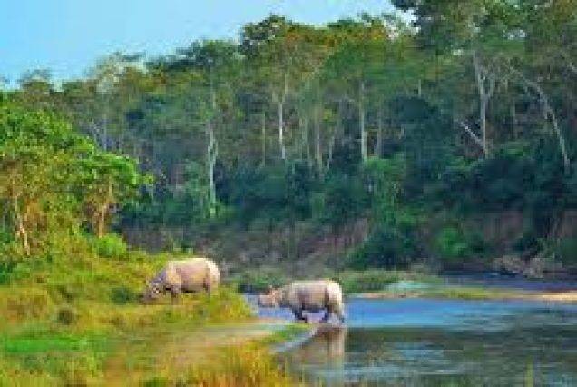 chitwan tour nepal tour Packages