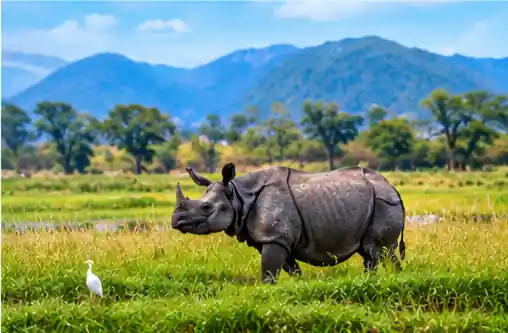 Nepal tour Package from Ahmedabad