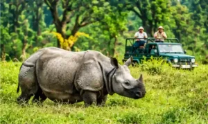 Nepal Tour Package from Bangalore