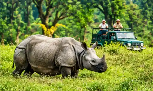 Nepal Tour Package from Bangalore