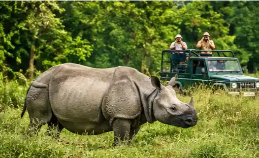 Nepal Tour Packages from Amritsar