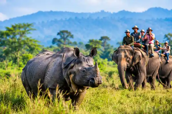 Chitwan Tour Packages