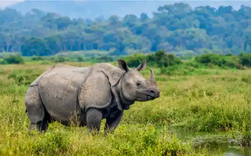 Nepal Tour Packages from Pune