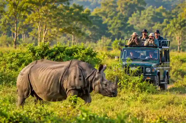 Nepal Tour Packages from Thiruvananthapuram