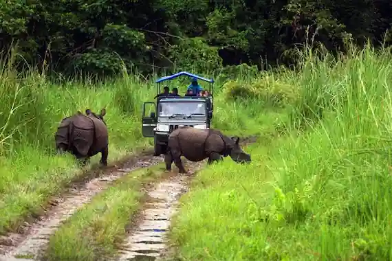 Chitwan tour Packages, jungle safari