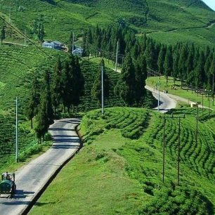 Ilam
